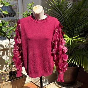 Siarni Milano Italian Sweater Rayon & Poly, NWOT, Stunning, Size Med, Burgundy